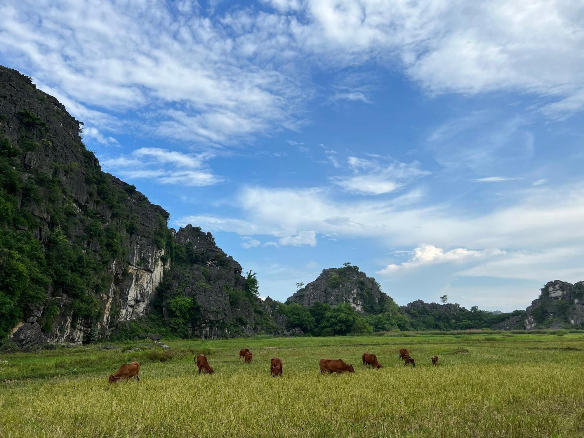 Ninh Binh Family Homestay Exteriér fotografie