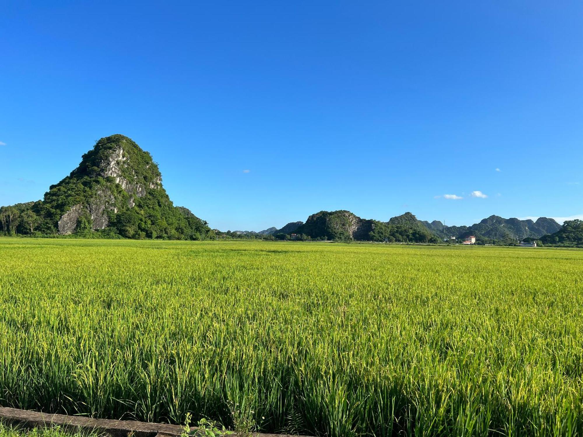 Ninh Binh Family Homestay Exteriér fotografie