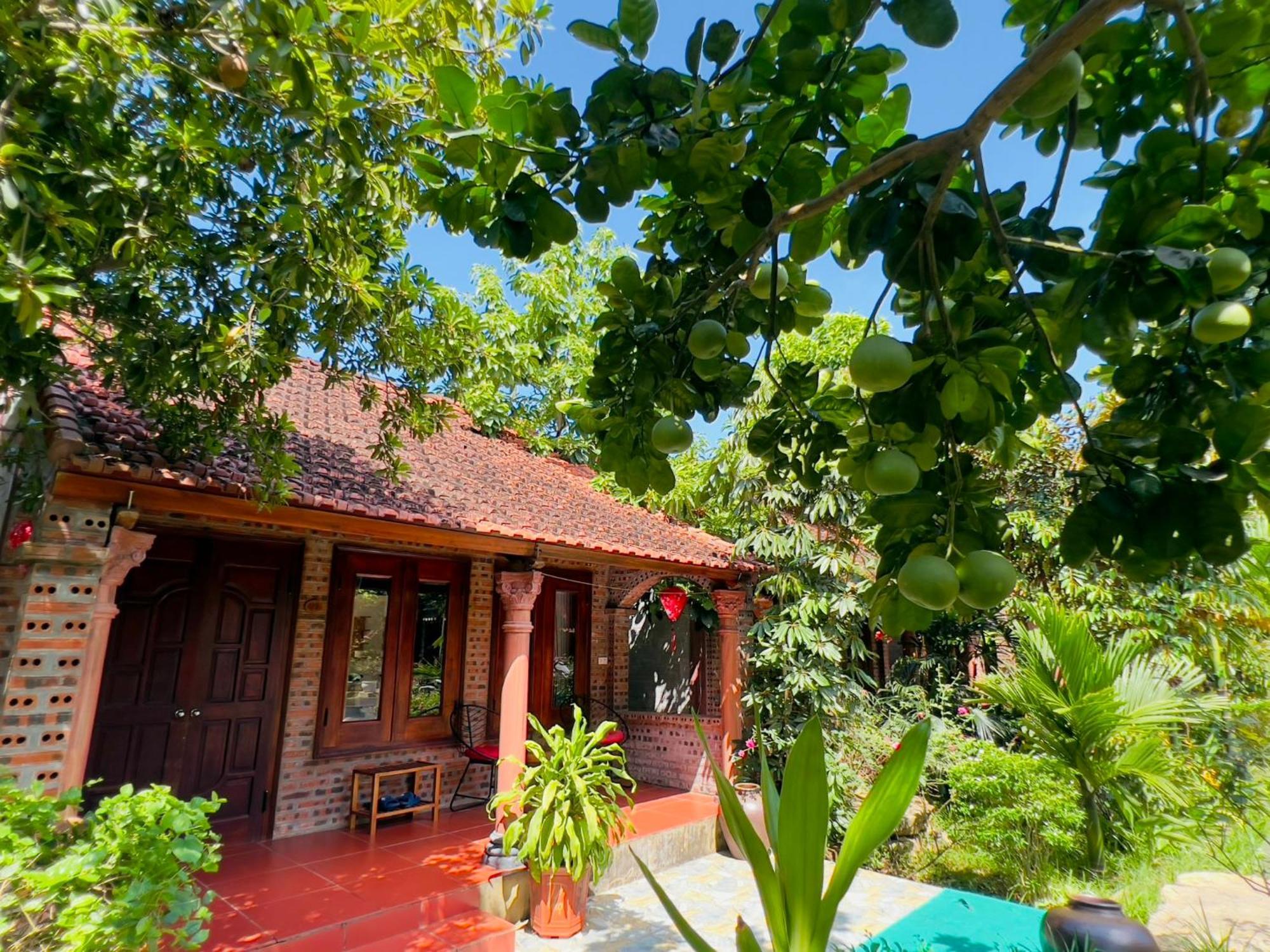 Ninh Binh Family Homestay Exteriér fotografie